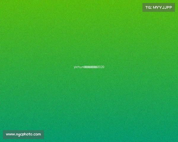 yichun围棋赛事—围棋比赛2020 yichun围棋赛事—围棋比赛2020