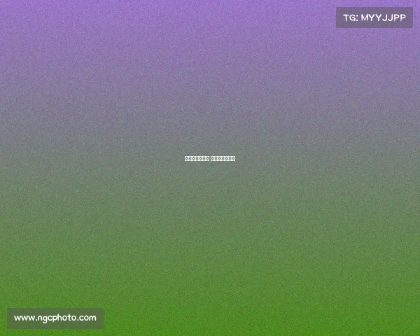 世界赛事接力赛 世界接力赛项目 世界赛事接力赛 世界接力赛项目