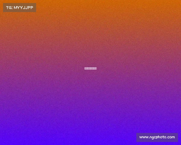 乒乓白金站有几站 乒乓白金站有几站