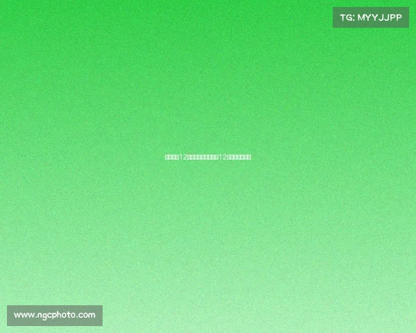 地表最强12人赛事回放地表最强12人赛事回放视频