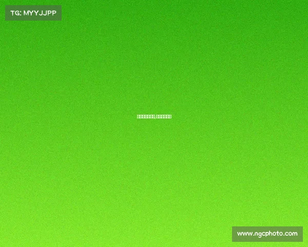 国足赛事神预测,国足预测阵容