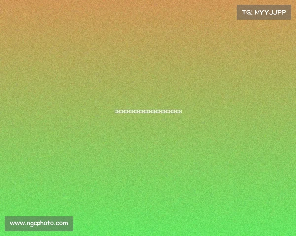 女子花样滑冰锦标赛激情开赛顶尖选手冰上争锋艺术魅力绽放