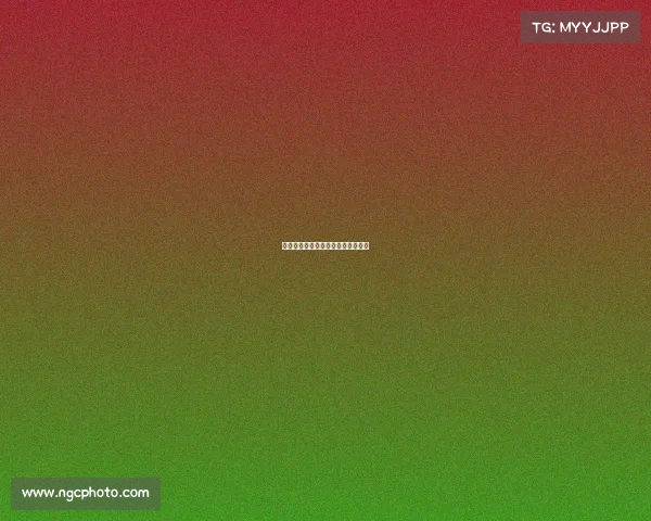 各地马拉松赛事各地马拉松赛事冠军 各地马拉松赛事各地马拉松赛事冠军