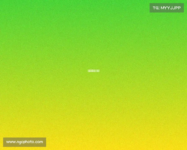 杨凌马拉松 赛评 杨凌马拉松 赛评