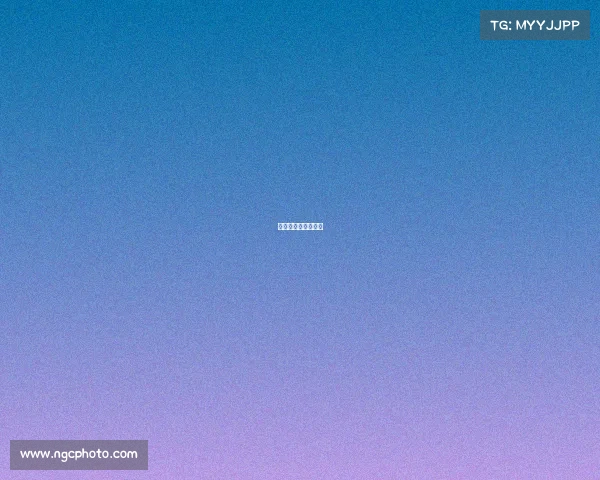 散打比赛有哪些名称