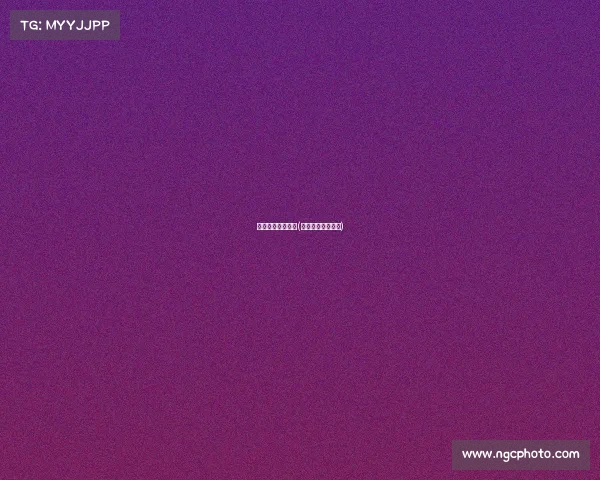 日本格斗赛事海报(日本格斗选手排名)