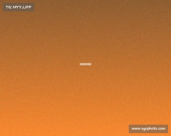 火箭湖人比赛结果