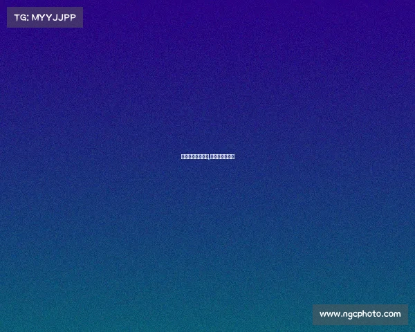 界杯赛事全网直播,世界杯赛程视频