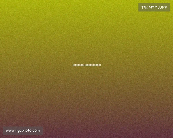 赛事监督管理意见,赛事监督管理意见和建议