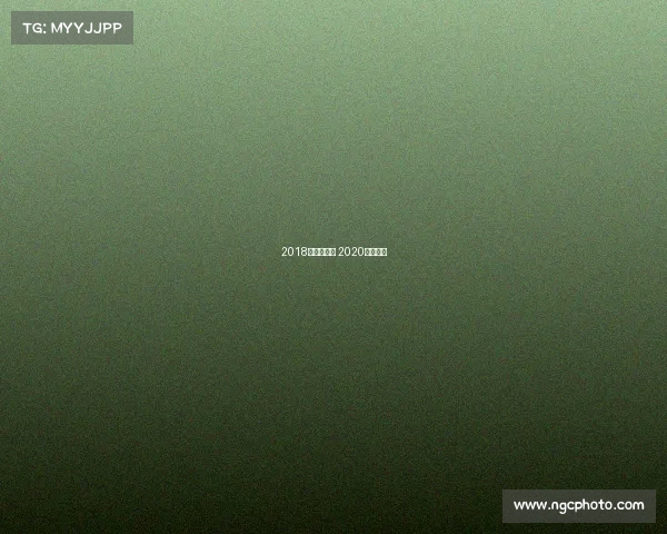 2018年徐马赛事 2020徐马奖牌