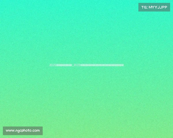 2020年广州从化赛马场还开吗_2023年度从化国际马术锦标赛激情开赛精英骏马奔腾竞技场追逐荣耀梦想