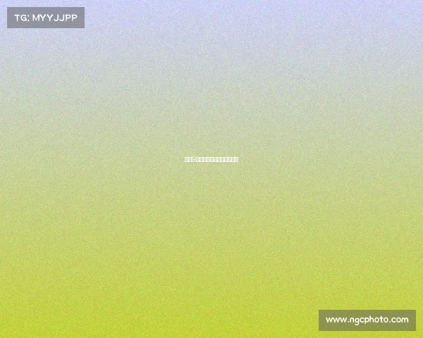 世界9球赛事世界九球排名前十名