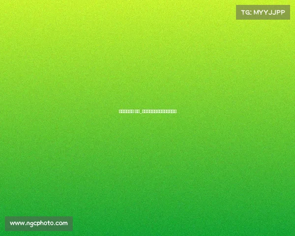 体育赛事门票 活动_体育赛事门票设计包括如下内容