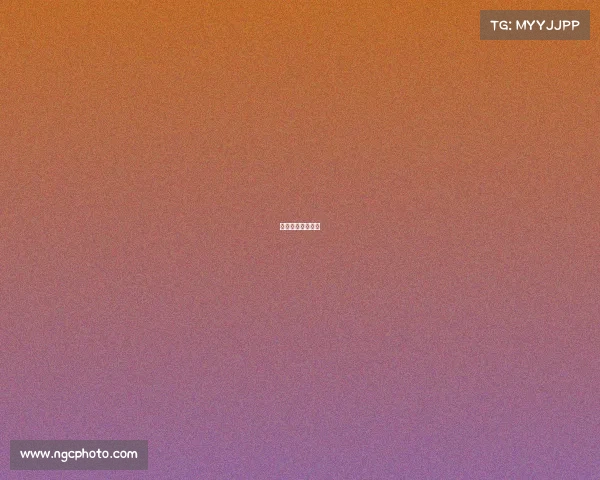 山东高速比赛直播