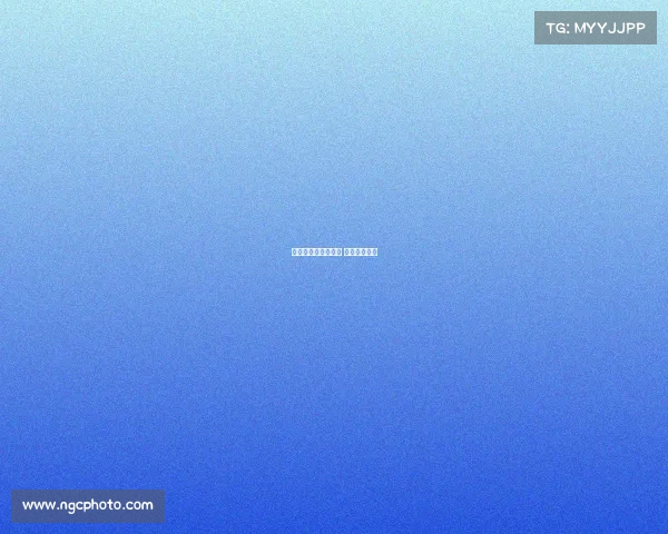 汽车赛事有哪些种类 汽车赛事组别