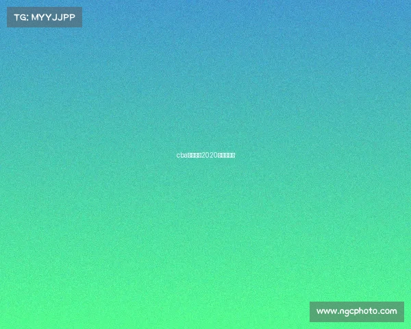 cba山东西王2020年最新情况