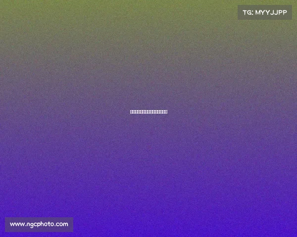 世界搏击顶级赛事世界级搏击比赛