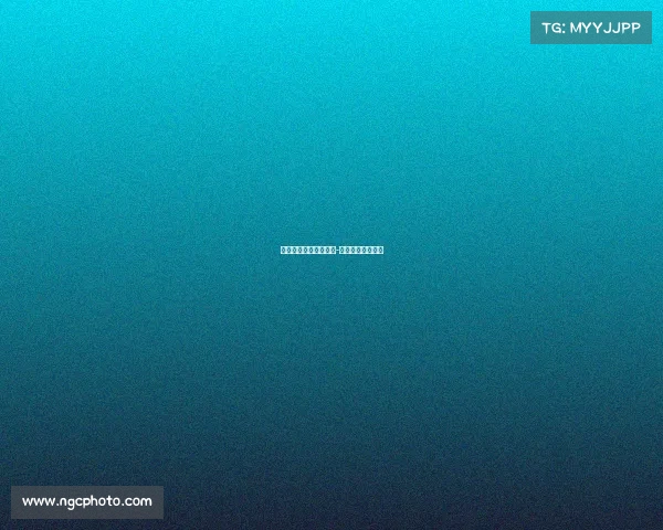 中国田径协会特色赛事-中国田径协会年会