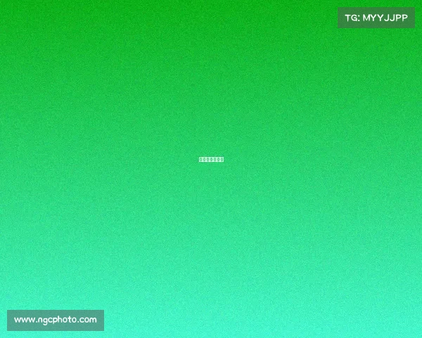 品牌赛事有哪些