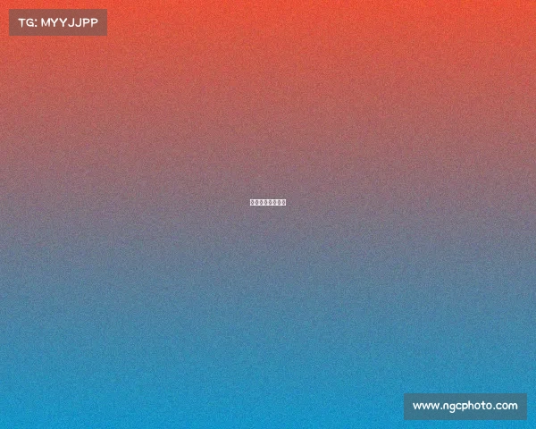 国际足联赛事等级